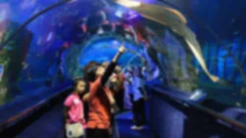 Itinerary gallery 2