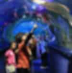 Admissions to Aquaria KLCC