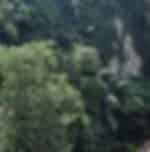 Batu Caves, Royal Selangor & Batik Tour