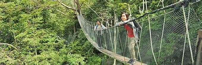 Tropical Rainforest Nature Tour