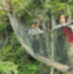Tropical Rainforest Nature Tour