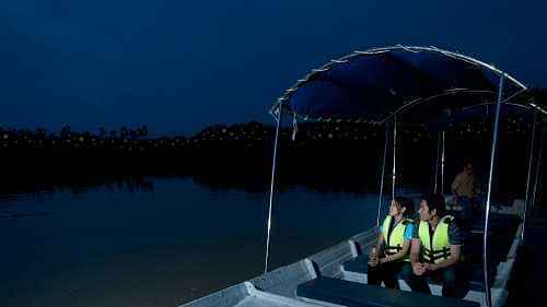 Fireflies Night Excursion with Dinner - Private