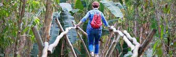 Jungle Trek & Rainforest Evening Walk