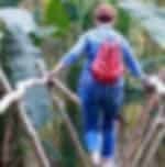 Jungle Trek & Rainforest Evening Walk