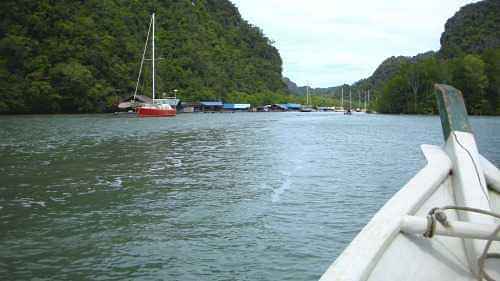 Eagle Watching & Mangrove Forest Tour