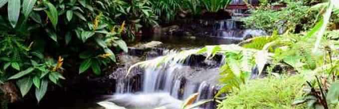 Botanic Gardens & Tropical Spice Garden Tour