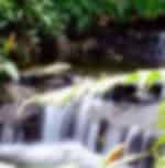 Botanic Gardens & Tropical Spice Garden Tour