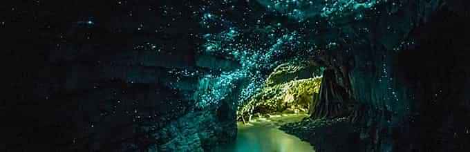 Experience Waitomo Glowworm Caves on the way to Rotorua - Admissions include