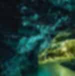 Experience Waitomo Glowworm Caves on the way to Rotorua - Admissions include