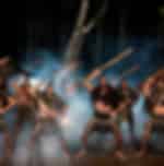 Tamaki Maori Village Cultural Discovery and Hangi Feast