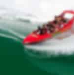 Jet Boat Ride around Waitemata Harbour