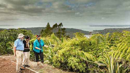 Time out with the locals during the Maori tour of Black Sand Beaches,Kauri Trees,Waitakere Ranges.