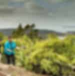 Time out with the locals during the Maori tour of Black Sand Beaches,Kauri Trees,Waitakere Ranges.