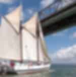Time out at the all time respected New Zealand Maritime museum and a bit of sail cruise adventure
