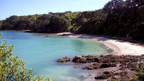 Day trip to Tiritiri Matangi Island with visits to the wildlife sanctuary and nearby areas