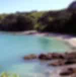Day trip to Tiritiri Matangi Island with visits to the wildlife sanctuary and nearby areas
