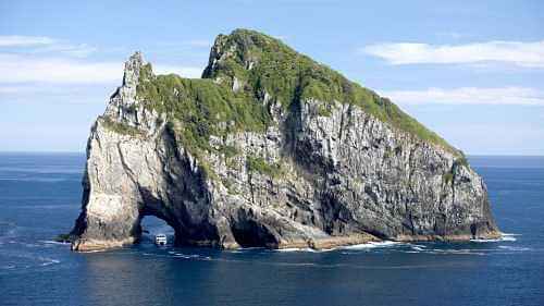 Cruise through aquamarine waters and a visit to Hole in the rock - Bay of Islands Dolphin Cruise