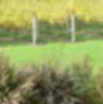 Wine-tasting experience and scenic views during the West Coast Wine Tour