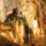 Complete end to end tour of the glow worm filled Waitomo Caves and Rotorua's Highlights with visits to important hubs