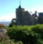 Christchurch Sightseeing - Botanic Gardens,Museum & Arts Centre,Port Hills