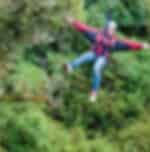 Native Forest Canopy Tour - Soaring through the lush green forests