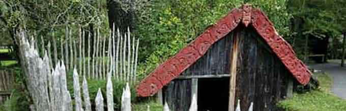 Rich history exploration of Maori tribes during Tribal Footprints Tour