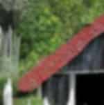 Rich history exploration of Maori tribes during Tribal Footprints Tour
