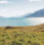 Exciting Lake Wakatipu Cruise and Half Day Cycling in and around the arena