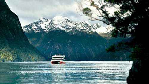 Milford Sound Scenic Cruise - Scenic cruise along the blue water of Milford Sound