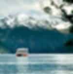 Milford Sound Scenic Cruise - Scenic cruise along the blue water of Milford Sound