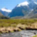 Outing at Milford sound and cruise exposed to majestic glacial scenery and nature walks of the arena