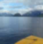 Jet Boat Tour from Te Anau - A water trip in the heart of Fiordland National Park