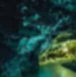 Waitomo Glowworm Caves - Admissions