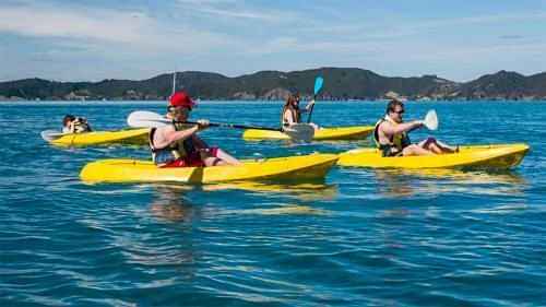 Bay of Islands - Exciting day cruise adventure on The Rock arena & surroundings