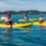 Bay of Islands - Exciting day cruise adventure on The Rock arena & surroundings