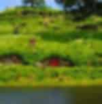 Waitomo and Hobbiton Experience - One Way Trip to Rotorua from Auckland