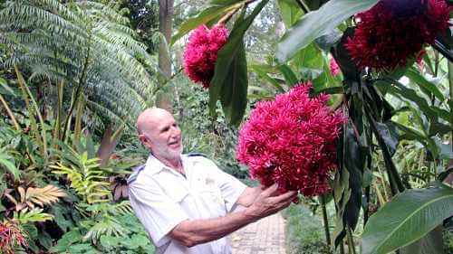  A bit of Cairns tour with visits to Flecker Botanical Garden and other top places