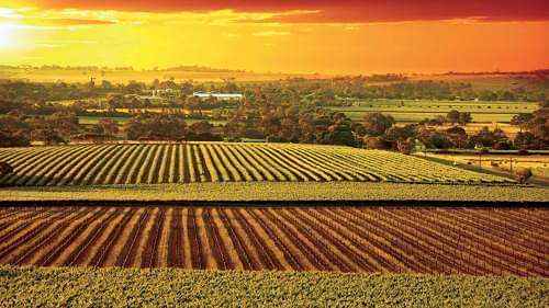 Grand Barossa Valley Day Tour