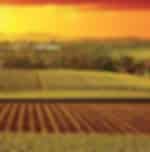 Grand Barossa Valley Day Tour