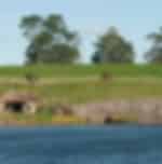 Experience Hobbiton movie set on the way to Rotorua