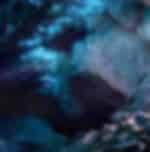 Experience Waitomo Glowworm Caves on the way to Rotorua - Admissions included