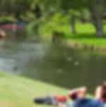 Hagley Park and Christchurch Botanical Gardens