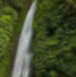 Experience Munduk Jungle Trek + Visit Three Hidden Waterfalls