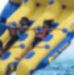 Water Sports Combo: Flying Fish Ride + Parasailing + Jet Skiing