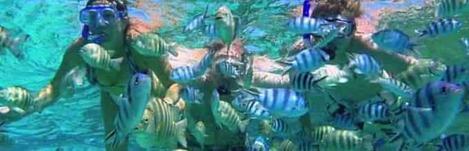 Experience Snorkelling at Tanjung Benoa