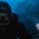 Fun filled scuba diving at Tutukaka with dive gear hire, boat trips, snorkeling and kayaking fun
