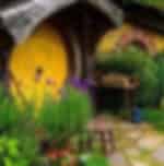 Experience Hobbiton movie set on the way to Rotorua