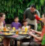 Lunch with Parrots at Jurong Bird Park - Private