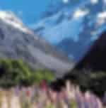 Exploring the best of Christchurch to wonder hubs in Queenstown and surrounding arena via Mount Cook