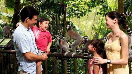 Singapore Zoo (admission + tram) on Shared basis